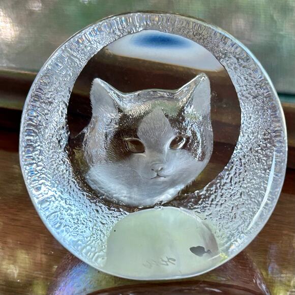 Vintage Clear Glass Cat Face Paperweight, Frosted Intaglio Kitty - Picture 2 of 12